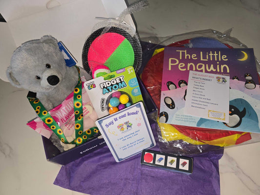 Camping themed box with teddy bear, fidget atom, mini torch, storybook, Velcro bat and ball, lanyard, marshmallows, and affirmation card.
